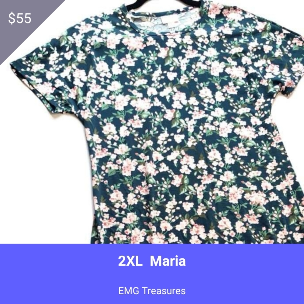 Nwt 2xl maria